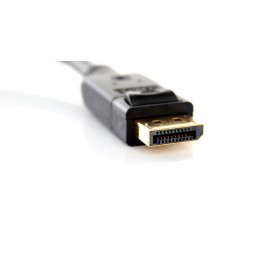 DisplayPort Male to DVI Male Adapter Cable (25.5cm)
